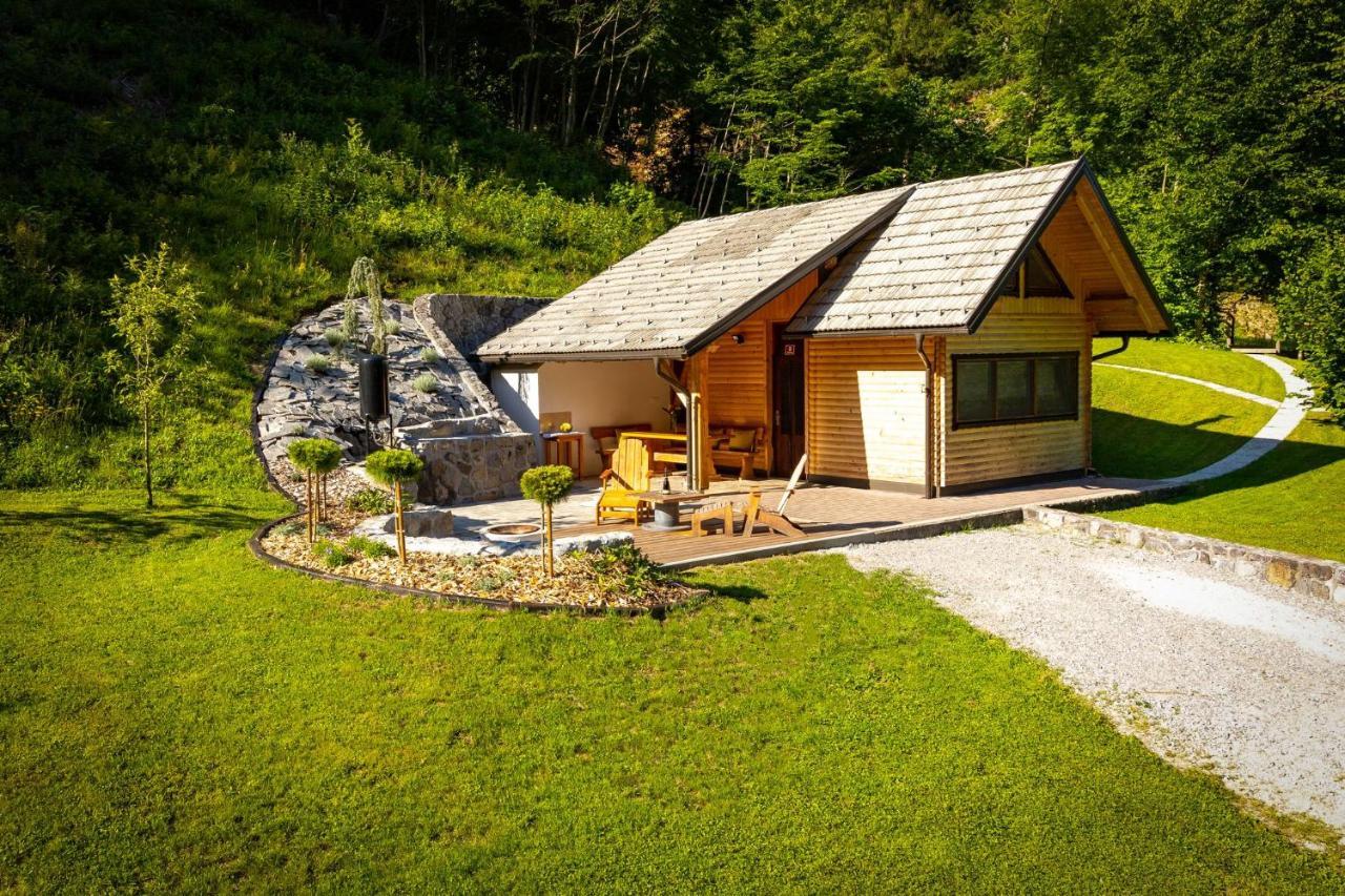 Chalet Letnik Ziri المظهر الخارجي الصورة